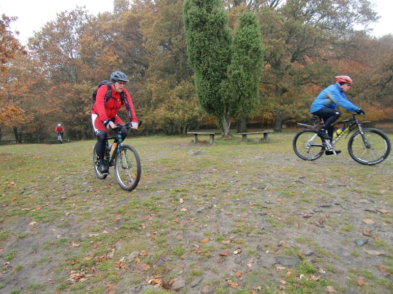 Wilseder Berg 1 2010 059
